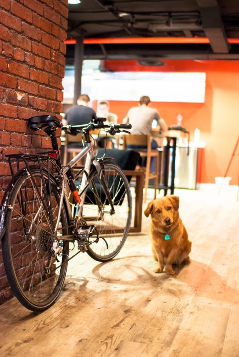 1 Giron_Canvas Cowork