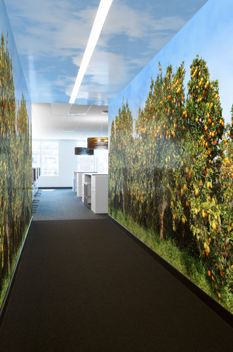 Portal walls that bring to life Coca-Cola’s Simply Orange juice. Photo by Steve Tsai Photography.