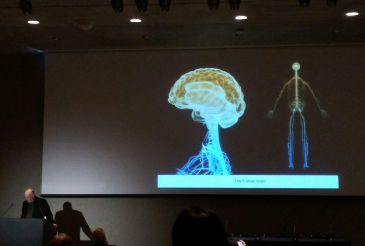 A slide from Mallgrave's presentation, "Embodied Simulation, Emotion, and Architecture". Photo by Melissa Marsh.