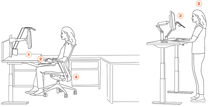 Image from Knoll’s Sit-to-Stand Workstation Guide, via Knoll.com.