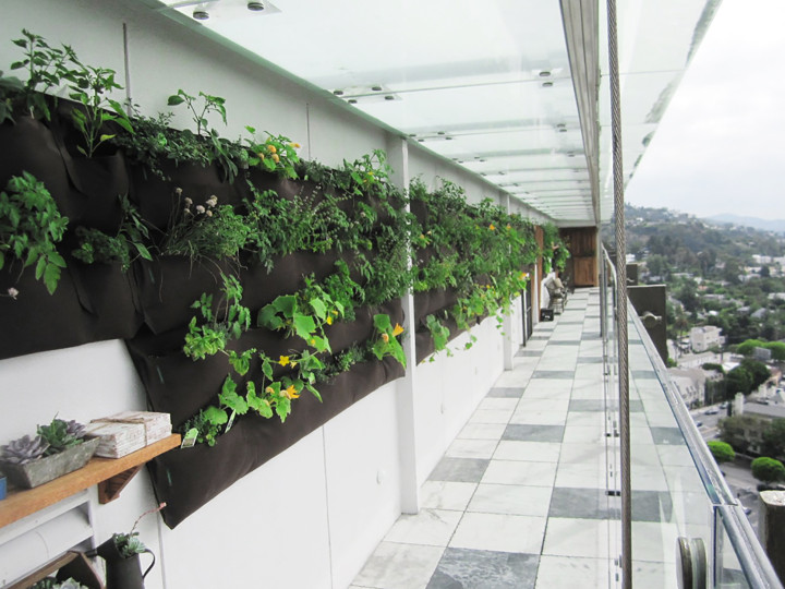 A common space on a balcony featuring the wall planters. Image courtesy of Woolly Pocket.