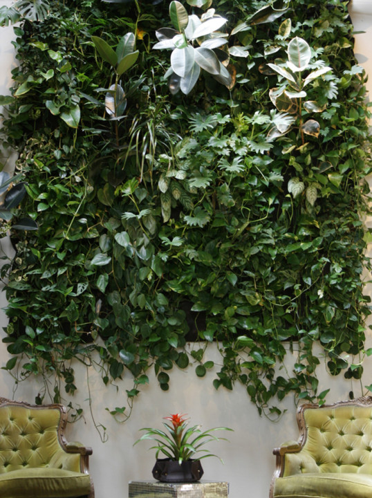 An office lobby with a bold, leafy touch. Image courtesy of Woolly Pocket.