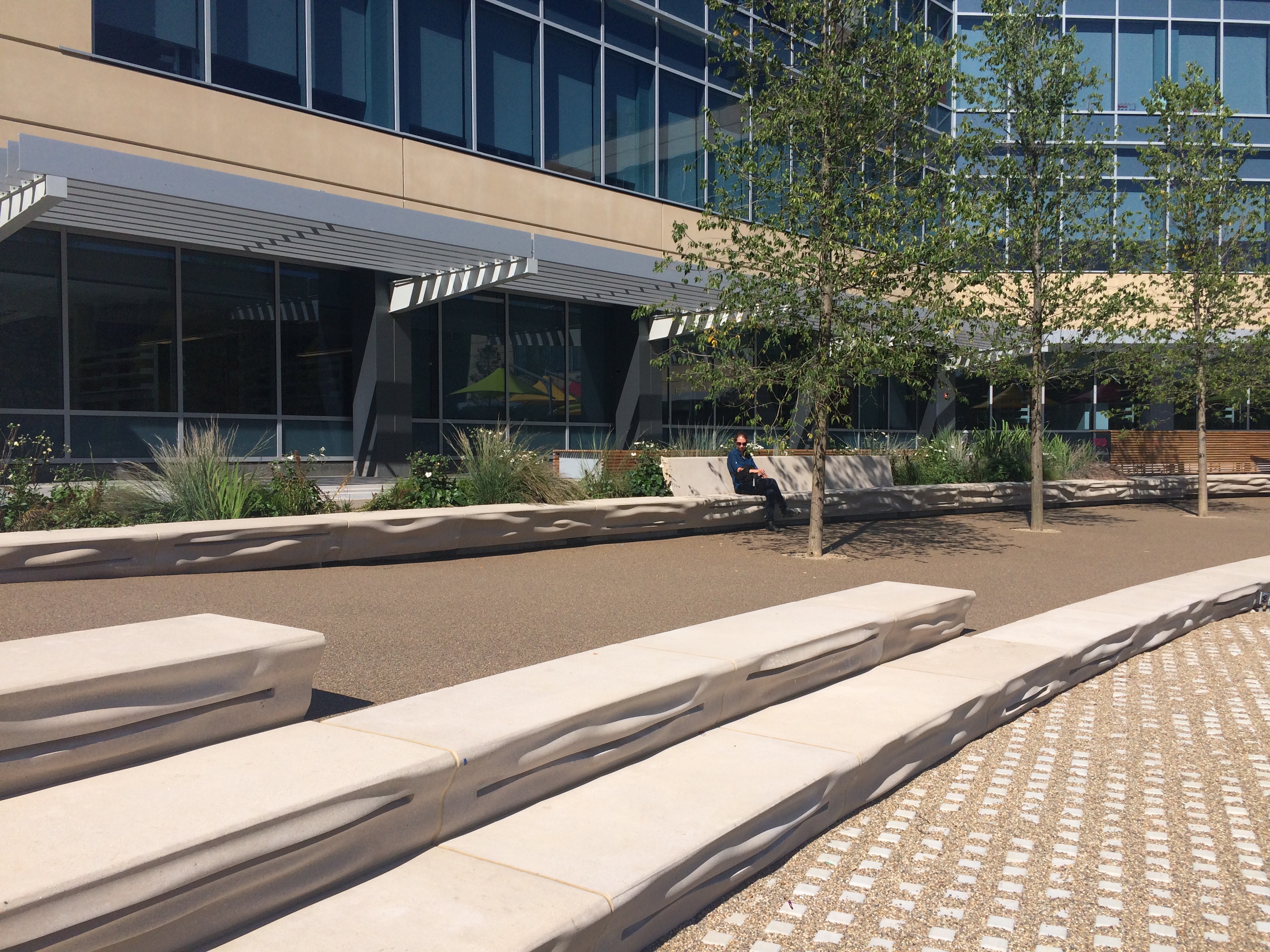 Custom concrete benches. Image courtesy of Barbara Wilks.