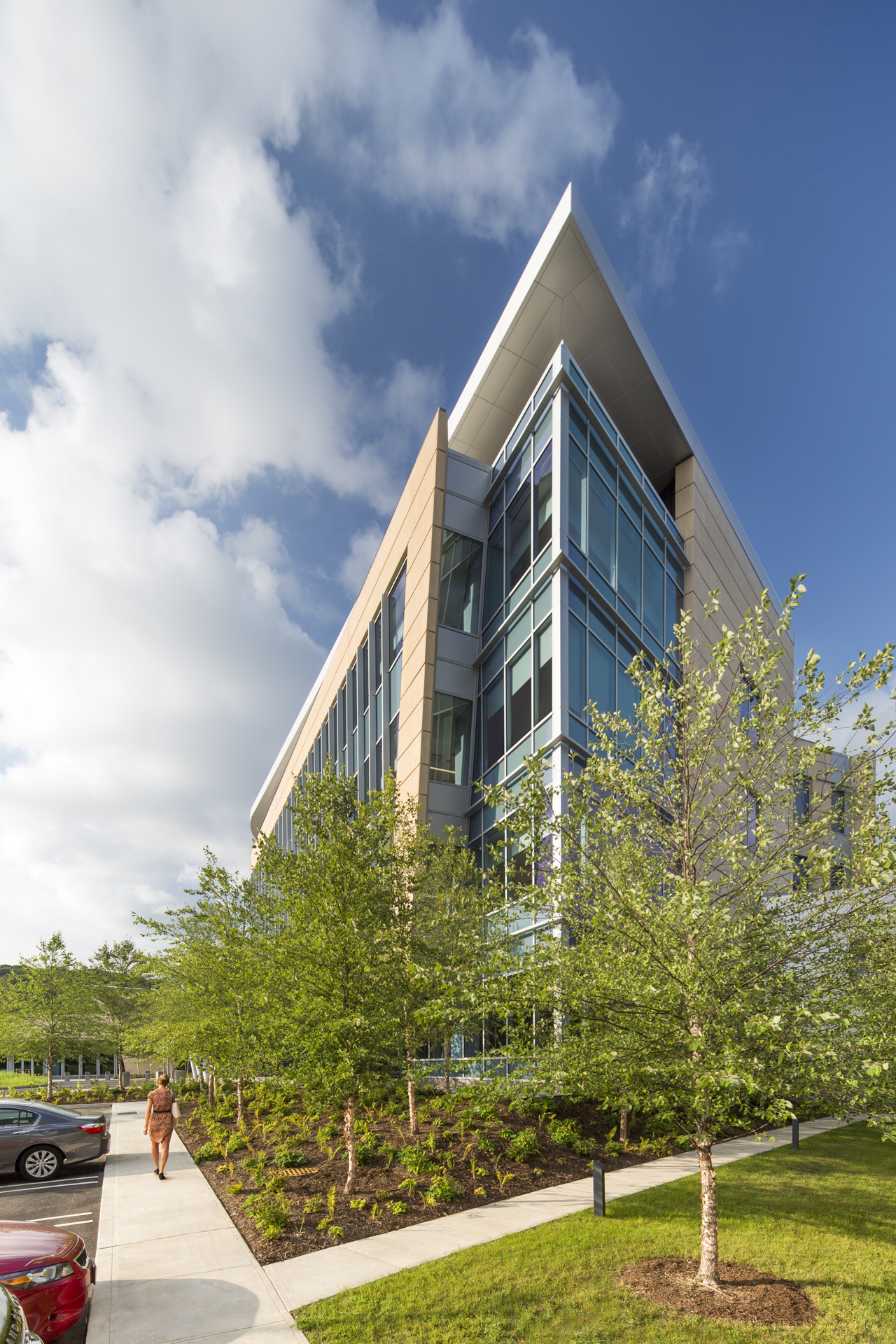 Transitional trees at the building. Photo by Frederick Charles.