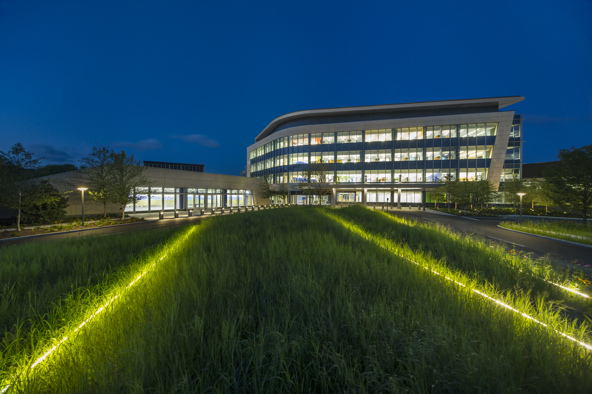 In-ground night lighting. Photo by Frederick Charles.