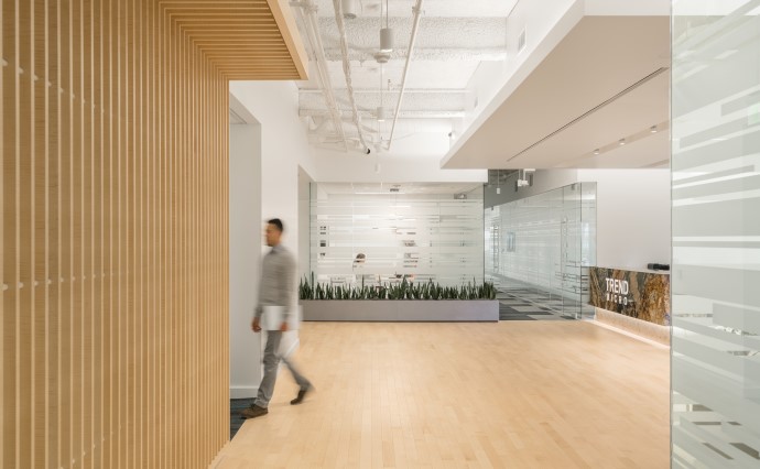 Maple wood gives the office a home-like atmosphere. Image courtesy of lauckgroup.