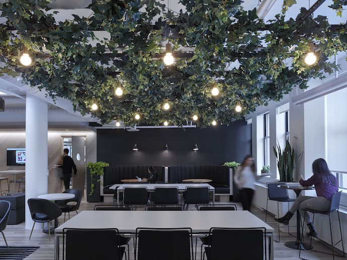 Hanging plants infuse this Manhattan office with nature. Image courtesy of Matthew Carbone. 