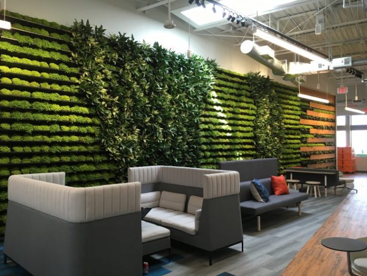 Biophilic Design Elements Can Increase Productivity In The