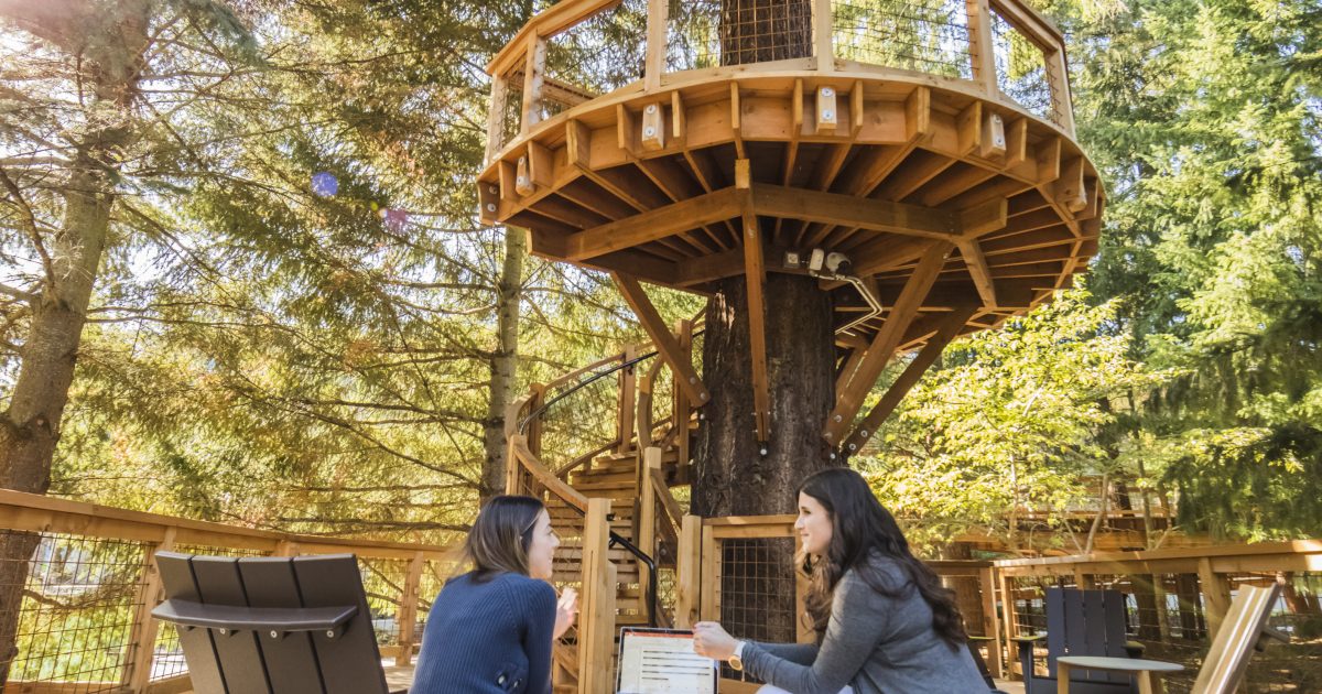 microsoft tree house outdoor workspace