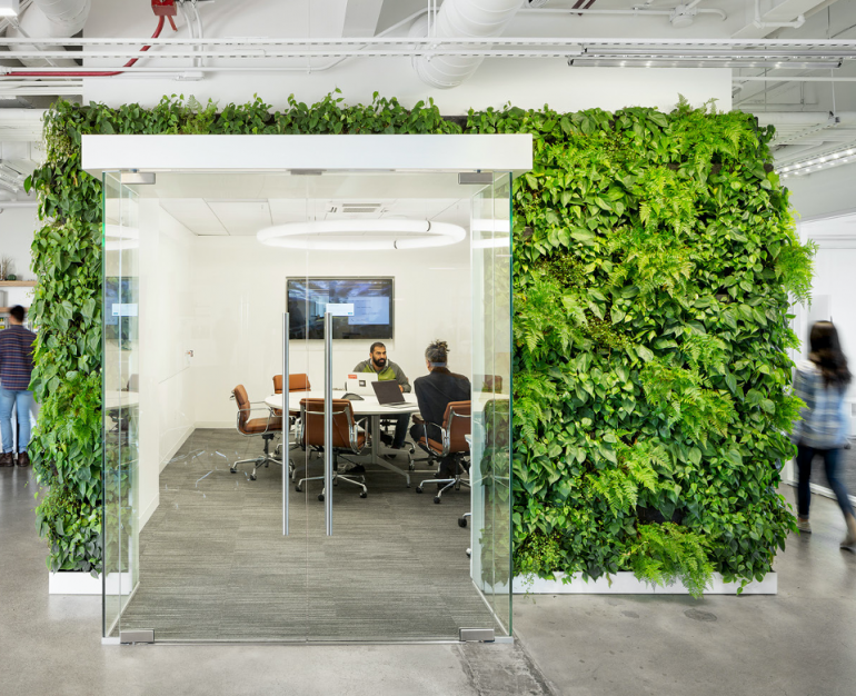 The Green Office Design Trend That Increases Productivity And Other   960x0 770x626 