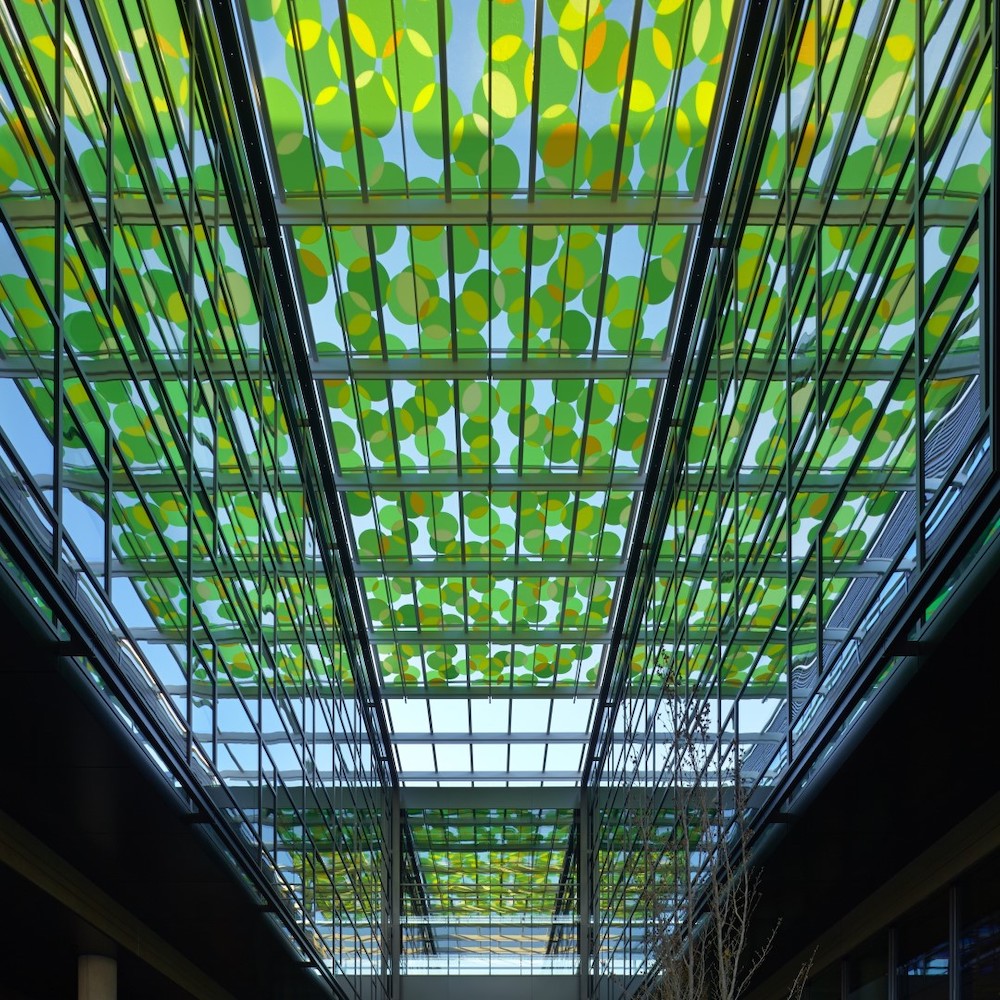 Amazon HQ – Spencer Finch Glass Canopy | Seattle, Washington | Glass Fabricator: Goldray Glass | Photography: Photography courtesy of Goldray Glass 